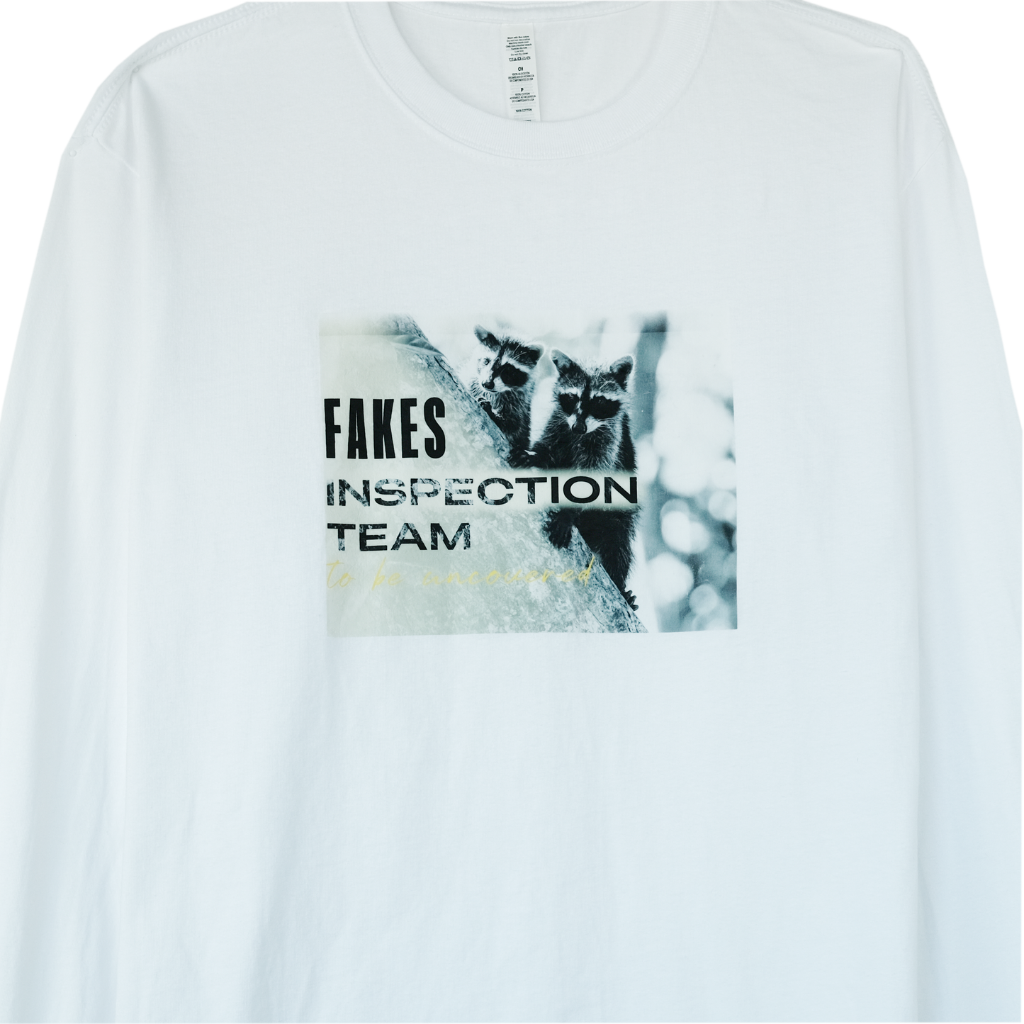 Inspection team