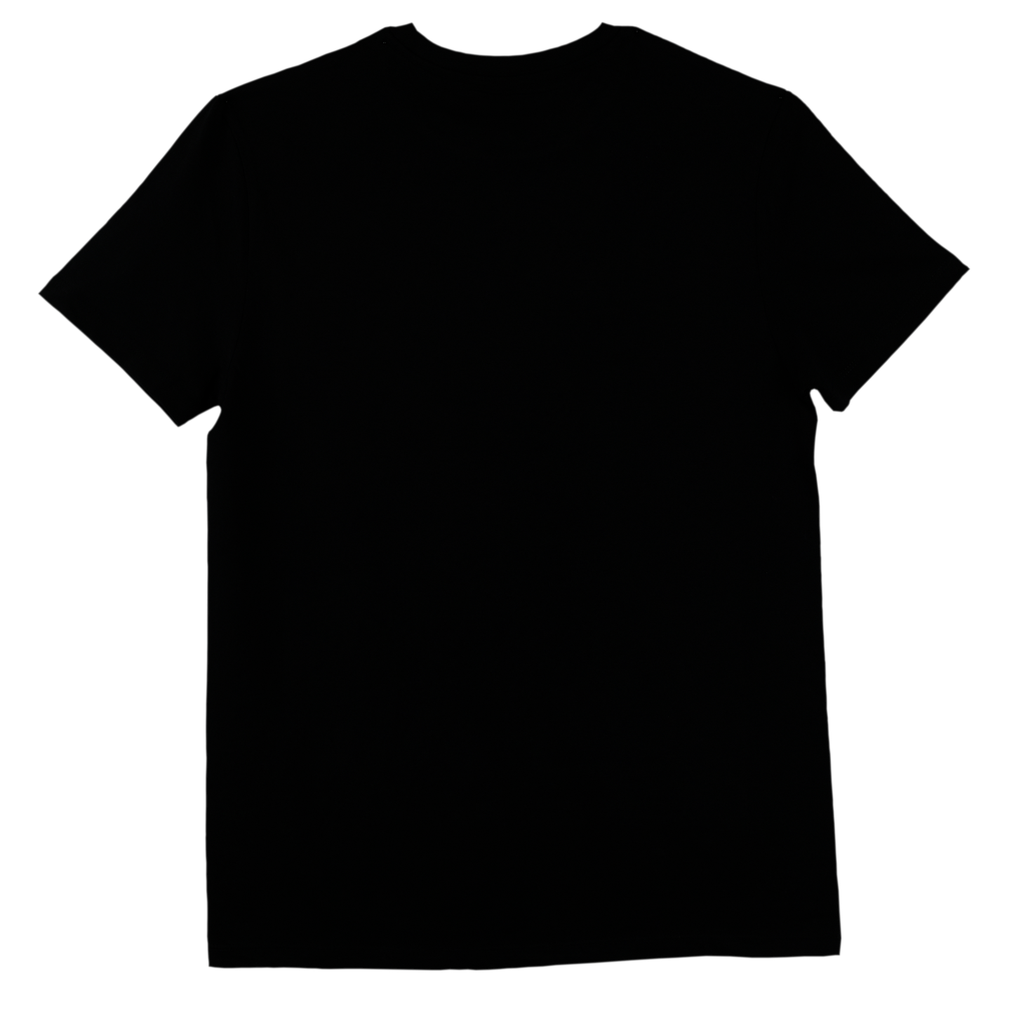 Gravity to the roots T-shirt